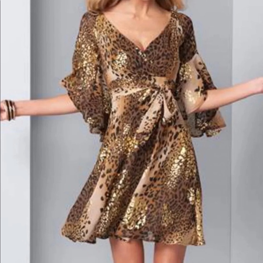 Leopard Print Dress
